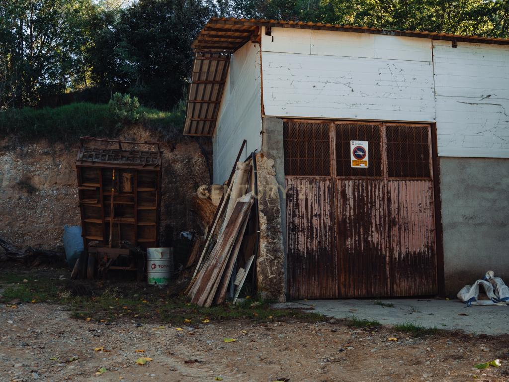  - Image 7